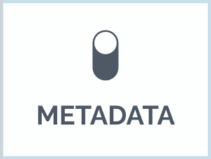 zefort metadata filters