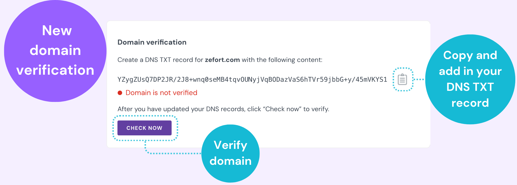 Domain verification view showing a DNS TXT record field and a Check Now button.